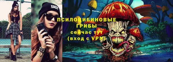 индика Новозыбков