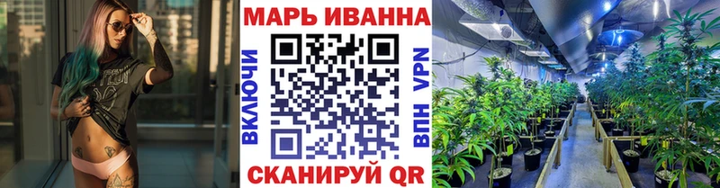 Шишки марихуана марихуана  Купить где  Медвежьегорск 